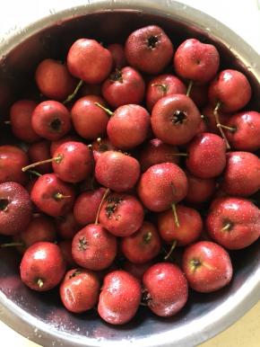 洗净 用盐水浸泡一会 沥干