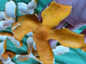 下午收的时候的状态