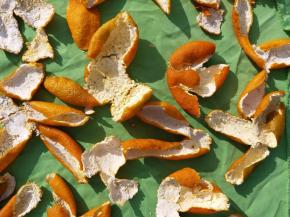 我晒的时候气温是20多度，干的特别快!