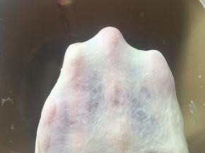 加水启动揉面程序，将材料揉成面团，揉好的面团切下一小块，横切面无孔洞，可以撑出手套膜破洞处呈现锯齿状