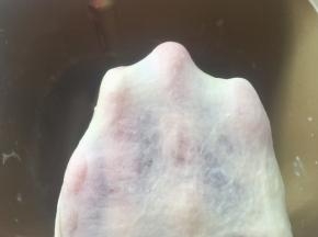 加水启动揉面程序，将材料揉成面团，揉好的面团切下一小块，横切面无孔洞，可以撑出手套膜破洞处呈现锯齿状