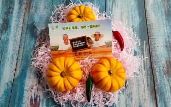 旭耕农场的有机蔬果：黄金小南瓜