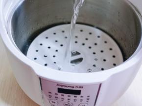 准备桃花盏电炖锅，首先蒸架放入锅中，再加入纯净水，至水位线！