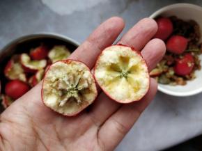 山楂去核的方法：将山楂横向拧开，分成一半带核的，另一半不带核的样子。