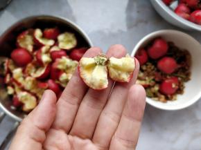 将下半边带蒂的部分，果肉分成几瓣掰下，剩下完整的蒂丢掉即可。