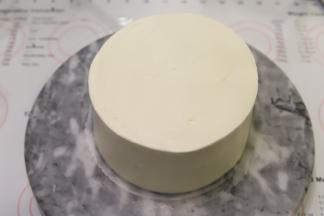 抹好整个蛋糕胚。