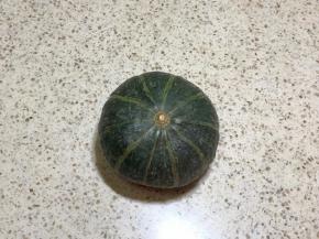 1. 我选择的是这种贝贝瓜