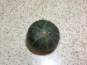 1. 我选择的是这种贝贝瓜