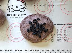 12、放入黑加仑葡萄干。(黑加仑葡萄干提前用温水泡软后沥干水分）