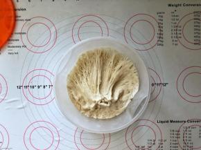 1、提前制作好老面。