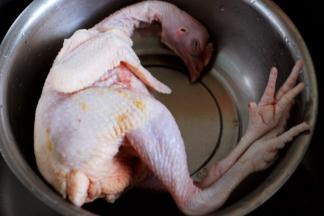 用镊子去掉鸡身上没弄干净的细小鸡毛和杂质。