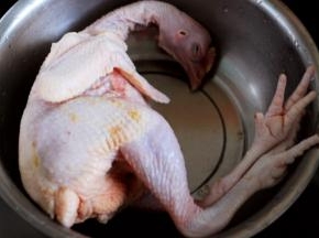 用镊子去掉鸡身上没弄干净的细小鸡毛和杂质。