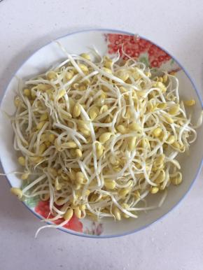 黄豆芽洗净沥干水分备用。