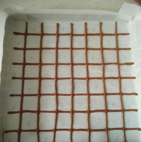 可可面糊剪小口，在烤盘的油布上描着挤直线部分再挤竖线，画出方格。