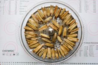 将蛏子摆放在拓璞多功能料理锅里