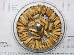 将蛏子摆放在拓璞多功能料理锅里
