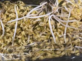 豆芽去头尾。耗时许久@@