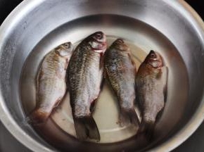 首先把鲫鱼的内脏取出，洗净后的鲫鱼放入加入适量清水的盆中，倒入料酒来继续泡出血水。