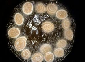 油温七成热(把竹质筷子一头放入油中冒细小微泡泡即可)，放入猫耳朵开始炸