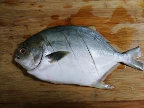 金昌鱼刮去鱼鳞，去掉鱼肠鱼鳃，清洗干净，表面划切数刀