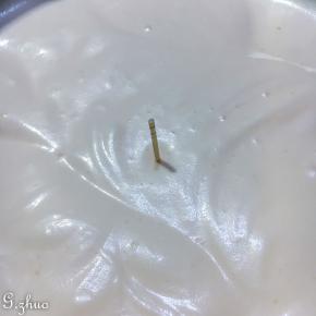 打至能插入牙签也不会倒下的状态。