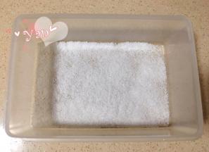 保鲜盒铺上椰蓉；