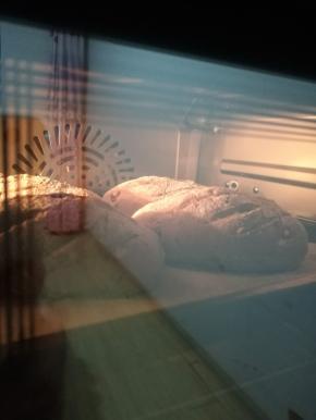 二发结束后在表面割口入预热好200度烤箱,烘烤18分钟即可。