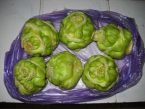 新鲜芥菜疙瘩。