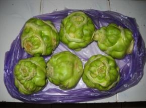 新鲜芥菜疙瘩。