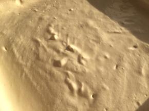 蛋黄糊拌好后，倒入28×28烤盘中