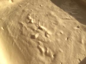 蛋黄糊拌好后，倒入28×28烤盘中