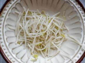 将绿豆芽掐去根部（有的根会发苦），放入煮开后关火的热水中，焯十几秒左右捞出，用凉开水冲一下能保持脆脆的口感。