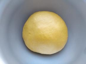 将揉好的面团装入发酵盆中，盖好保鲜膜，放入烤箱，以发酵模式发酵50分钟左右。