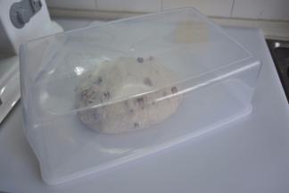 放入合适的容器中，由于这次面团的状态很好，面团很挺立，所以，我将盒子反过来用，面团放盖子上，盒子扣在上面，这样，取面团会更方便，如果面团筋性不足则不建议这么做