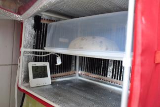 26度初次发酵60分钟