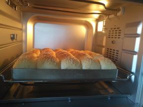 放入预热好的烤箱中下层上下火160度，烘烤20分钟左右