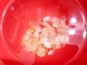 皂角米用清水泡发
以上三种可以前一天晚上泡的，第二天煮正好