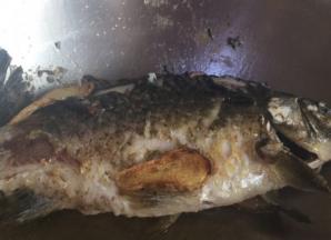 两面煎至金黄关火