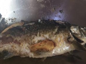 两面煎至金黄关火