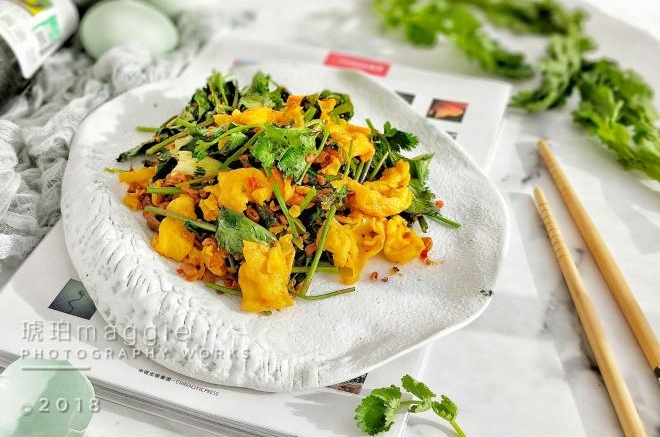 桑叶蛋炒香菜辣椒萝卜干