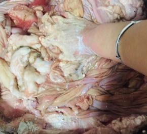 一定要充分揉搓哦，把残留的脏东西都让他吸附在面粉上，食用碱可以很好的去除牛杂里面的异味儿。