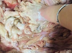 一定要充分揉搓哦，把残留的脏东西都让他吸附在面粉上，食用碱可以很好的去除牛杂里面的异味儿。