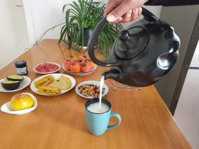 烧水壶的盖子有两个卡扣，盖好转动一下，怎么斜着倒也不用担心盖子掉下来。