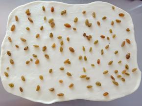 7.均匀的撒在面片上
