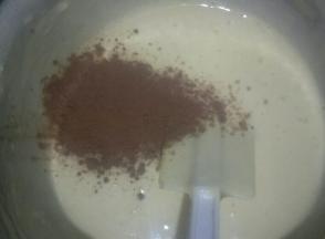 把蛋糕糊一分为二，其中一份加入可可粉