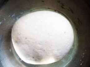 用少量水将酵母粉浸泡几分钟，然后以适量水将面和成面团。第一次发酵。