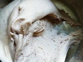 开面团内部有蜂巢状组织就可以开始做了。因为要做造型，不要等到蜂巢组织太大了。