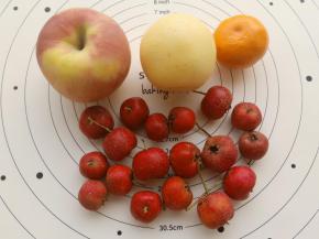 准备好材料，苹果，梨，去皮切小块。橘子去皮掰开。