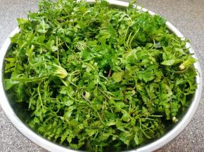 荠菜摘好洗干净。