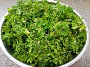 荠菜摘好洗干净。